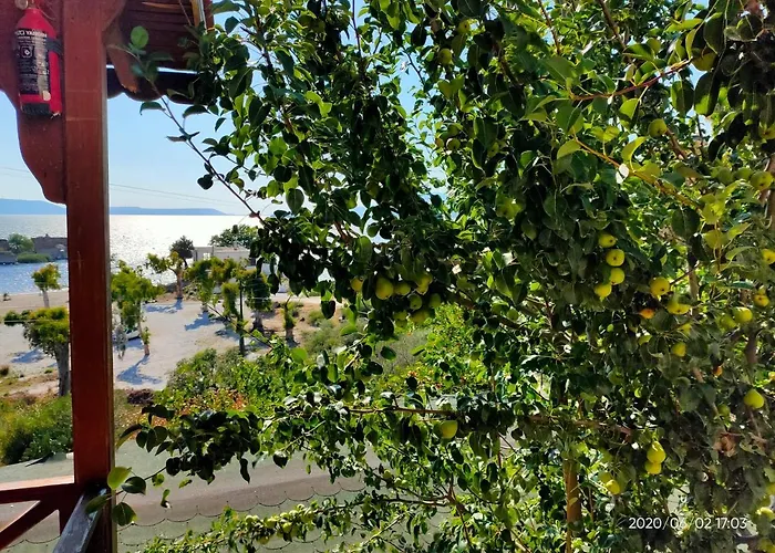 Selenes ゲストハウス