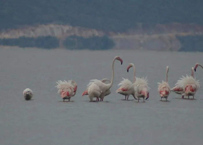 Selenes Maison d'hôtes 3*