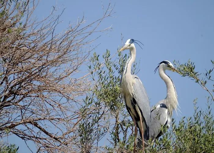Selenes Maison d'hôtes 3*