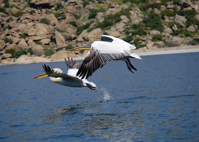 Selenes Maison d'hôtes