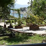 Selenes 招待所
