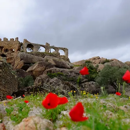 Selenes Pensionat Kapikiri