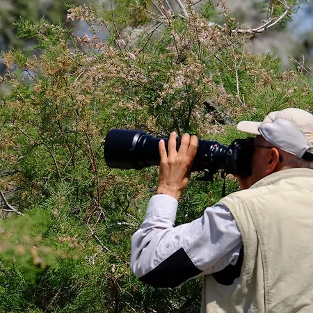 Pensionat Selenes 3*