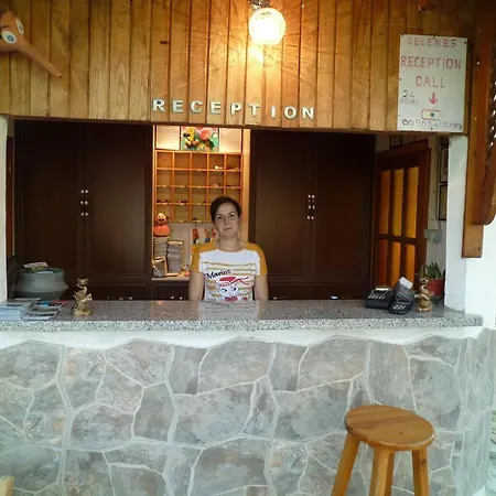 Pensionat Selenes 3*