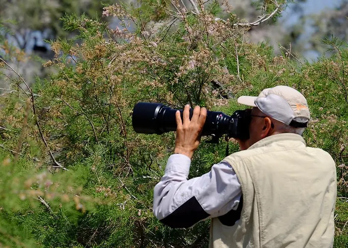 Pensionat Selenes 3*